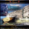 Sciacca cd rom